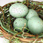 Nest Eggs