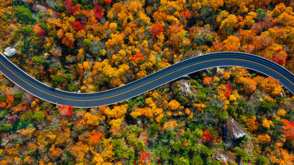 aerial photo of a highway through a forest in autumn