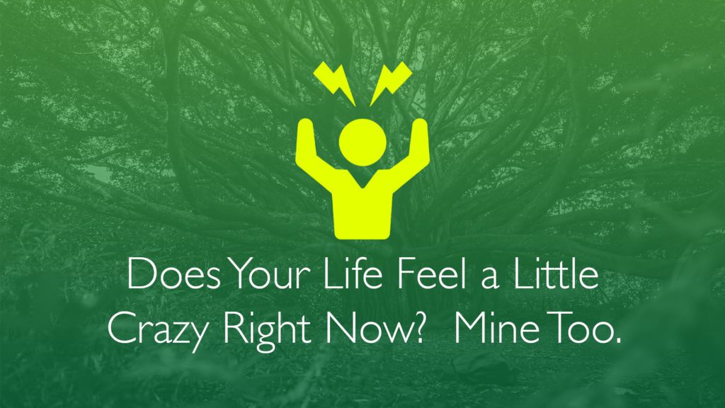 Does Your Life Feel a Little Crazy Right Now? Mine Too-Financial Symmetry, Inc.